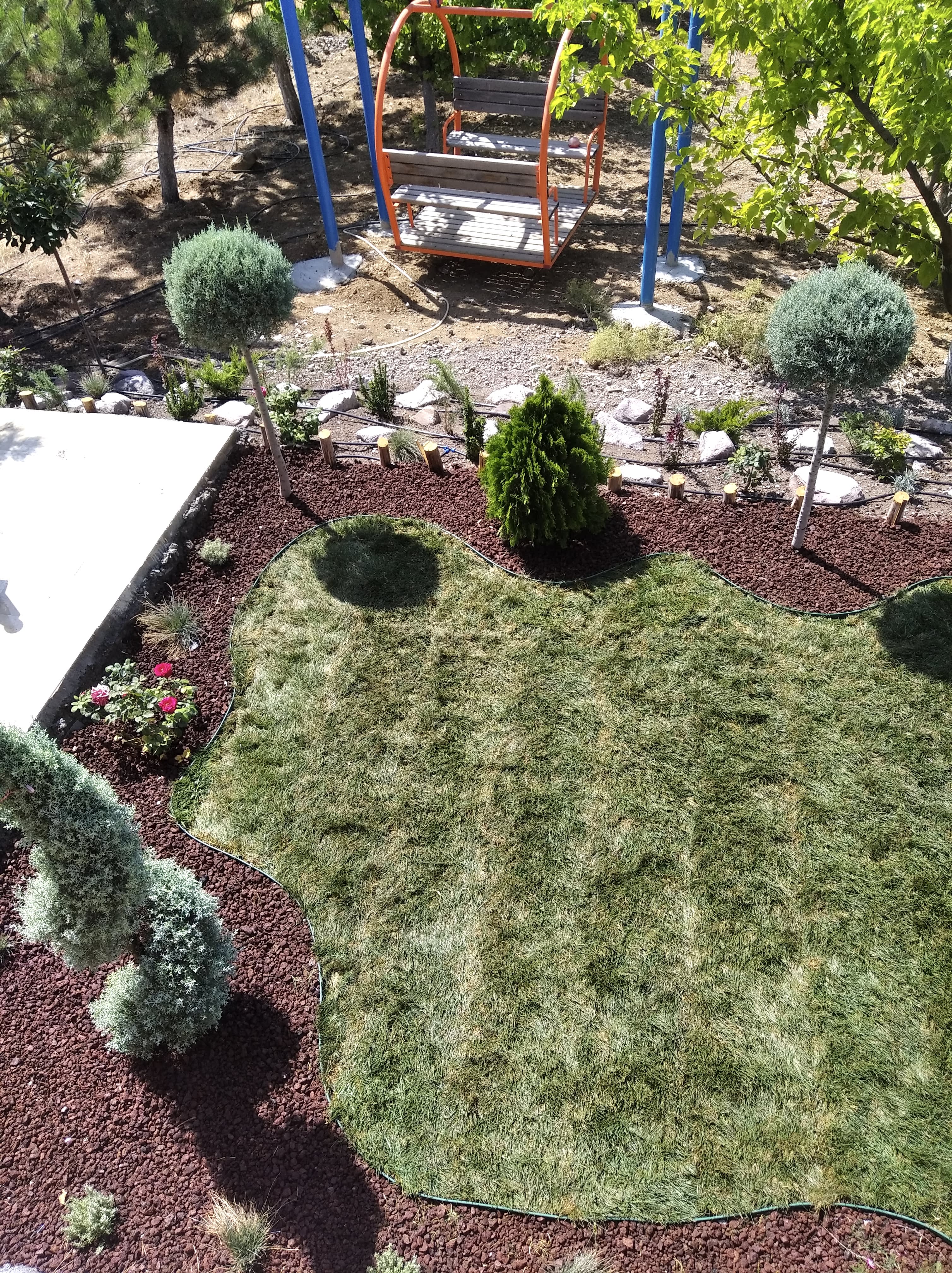 BİTKİ TEMİNİ VE UYGULAMASI